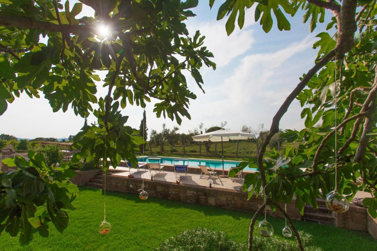 Ficolivo Bed & Breakfast Pitigliano Eksteriør bilde
