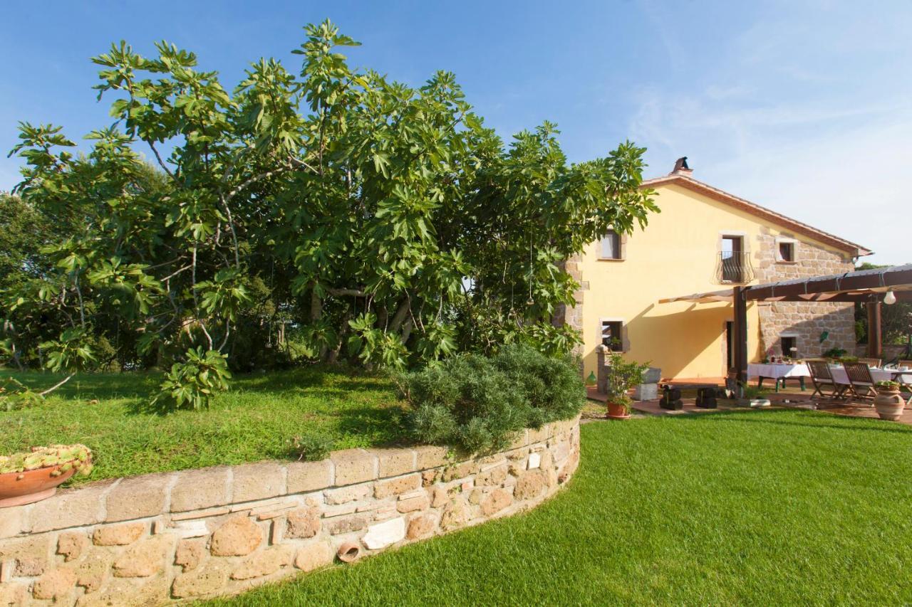 Ficolivo Bed & Breakfast Pitigliano Eksteriør bilde